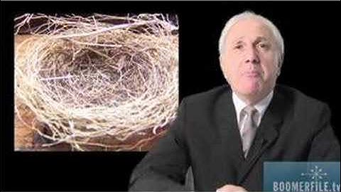 The Boomer File - Empty Nest