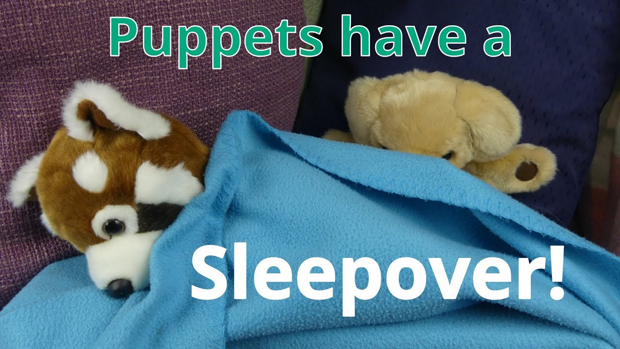 Puppets have a Sleepover | Mind Niggles
