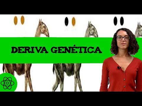 Video: ¿Sería esto un ejemplo de deriva genética?