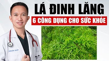 6 Tác Dụng Tuyệt Vời Của Lá Đinh Lăng Đối Với Sức Khỏe | Bác Sĩ Trần Minh