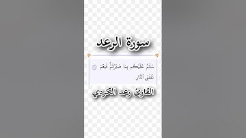 سورة الرعد | الآية ٢٤ | القارئ رعد الكردي