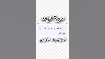سورة الرعد | الآية ٢٤ | القارئ رعد الكردي