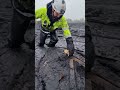 Hero Finds Tiny Kitten Stuck in Black Sludge ❤️