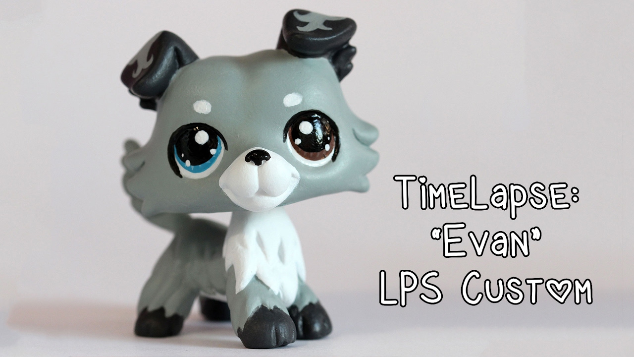 lps collie custom