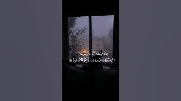 سورة الزمر 🪔|| ياسر الدوسري #القرآن_الكريم 🍁#سورة_الزمـر #الفجر ☁️#اللهم_صلي_على_نبينا_محمد