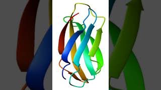 Nur (biology) | Wikipedia audio article