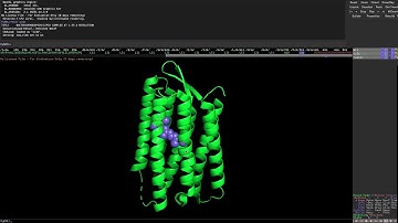 Getting started with Pymol 2