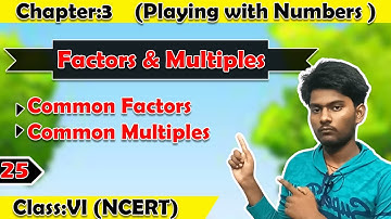 Common Factors and Common Multiples - Playing with Numbers (Chapter:3) | Class 6