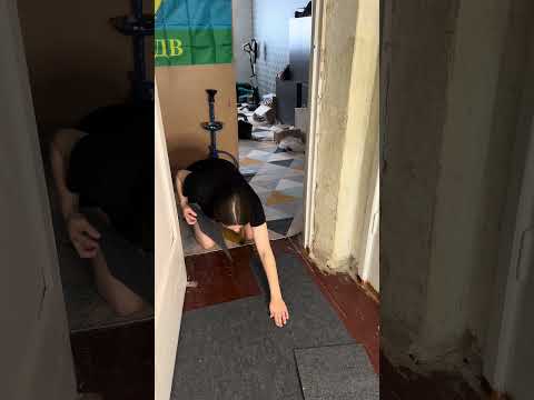 Сделала ковёр своими руками и исправила стену у котов✅ #ремонт #ремонтсвоимируками #служебка