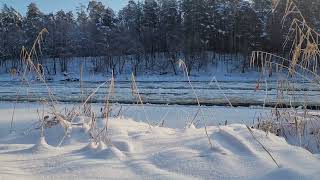 WindBite | Winter Wind