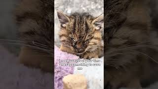 This isn’t just a post — it’s a cry for help.