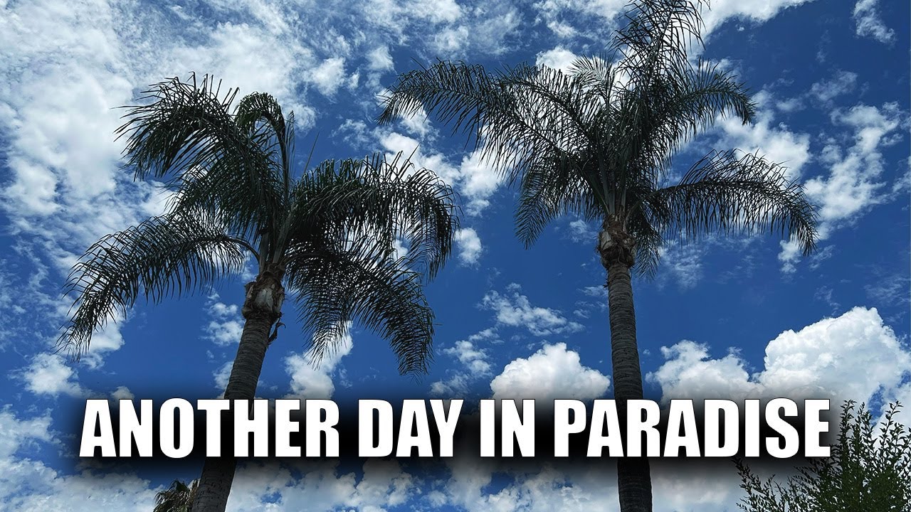 The Shawn Staples Band- "Another Day in Paradise"