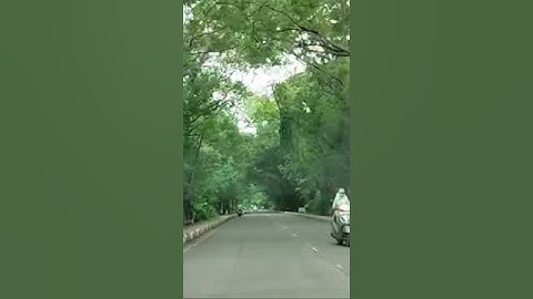 Bamu University campus, Sambhaji Nagar.