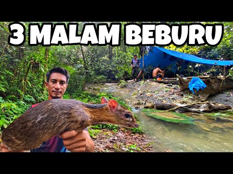 3 HARI 3 MALAM BERBURU DI HUTAN || Bikin Camp dalam Hujan Deras dan memasak hasil buruan ❗️