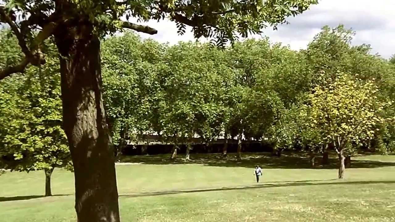 HARLESDEN/WILLESDEN NW10