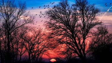 ﴿فكيف تتقون إن كفرتم يوما يجعل الولدان شيبا﴾ تلاوة تخشع لها القلوب لسورة المزمل للقارئ معاذ المنصري