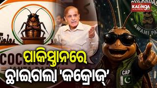 Cockroach Janta Party Crosses Border, Pakistan Now 'Infested' | Kalinga TV