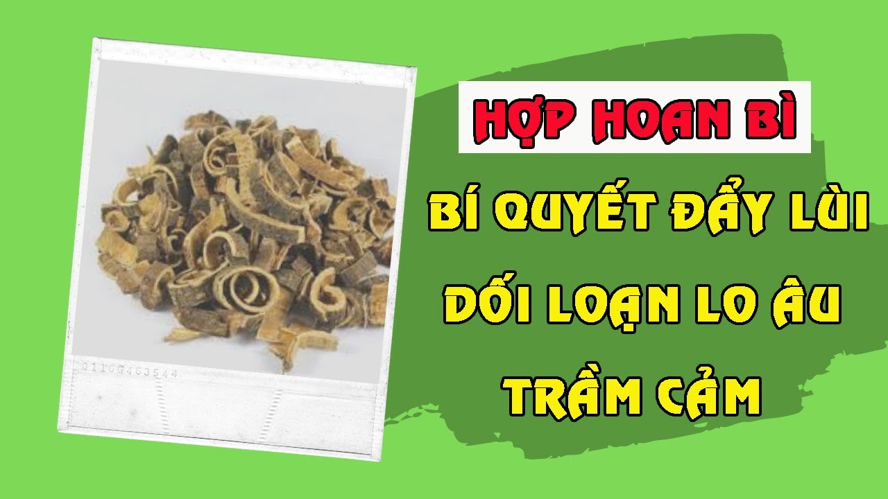 Hợp hoan bì - Bí quyết đẩy lùi dối loạn lo âu, trầm cảm - youtube