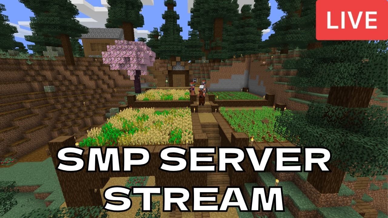 SMP | Season 4 | Let's Build a wall! #minecraft #minecraftstream - YouTube