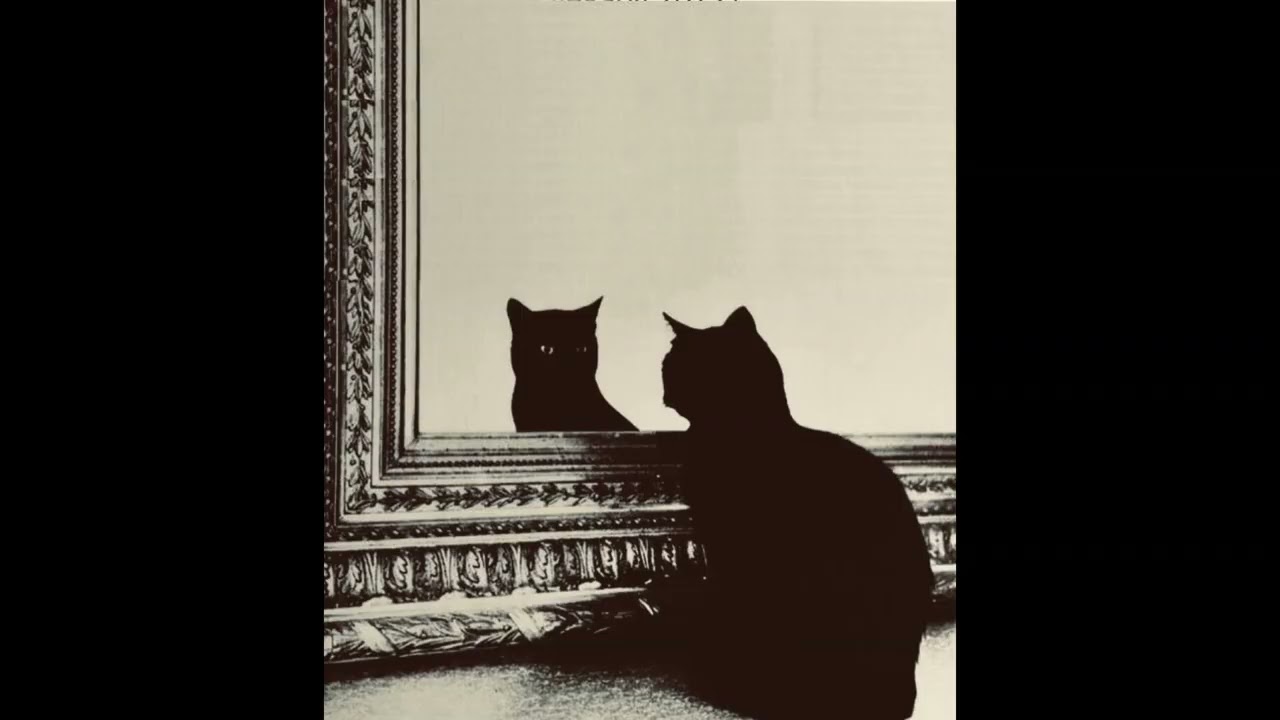 BEAT RAP BOOM BAP "Delirio" HIP HOP USO LIBRE - [Prod. Rancio]