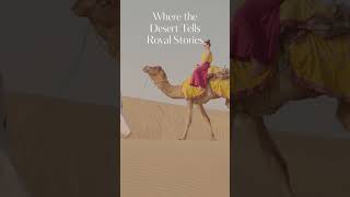 ✨ Rajasthan Tour Package with Unique Travel Point | Jaipur | Jodhpur | Jaisalmer | Udaipur ✨
