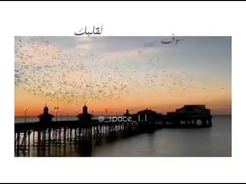 ثق بنفسك بشخصيتك هكذا تبدء السعاده احلى اغنيه تركيه مترجمه