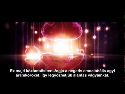 Válaszút - am. dokumentumfilm, feliratos.