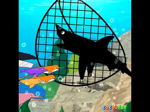 Let&amp;#39;s <strong>Raise</strong> whales, sharks, and octopus in my fish tank! #Shorts ｜Learn color for kids｜ CoCosToy
