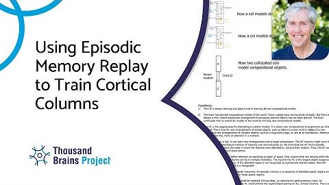 2025/10 - Using Episodic Memory Replay to Train Cortical Columns
