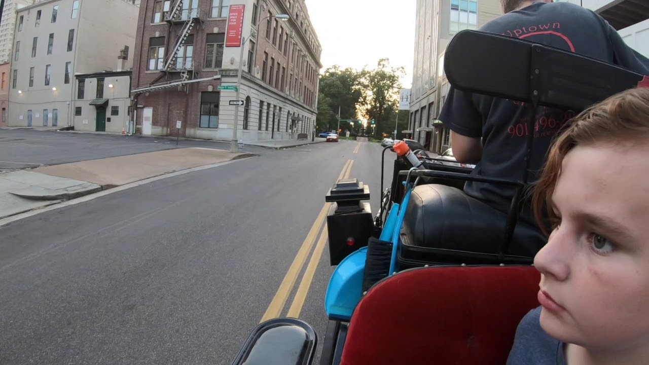 Horse Carriage ride in Memphis, Sept 2019 YouTube