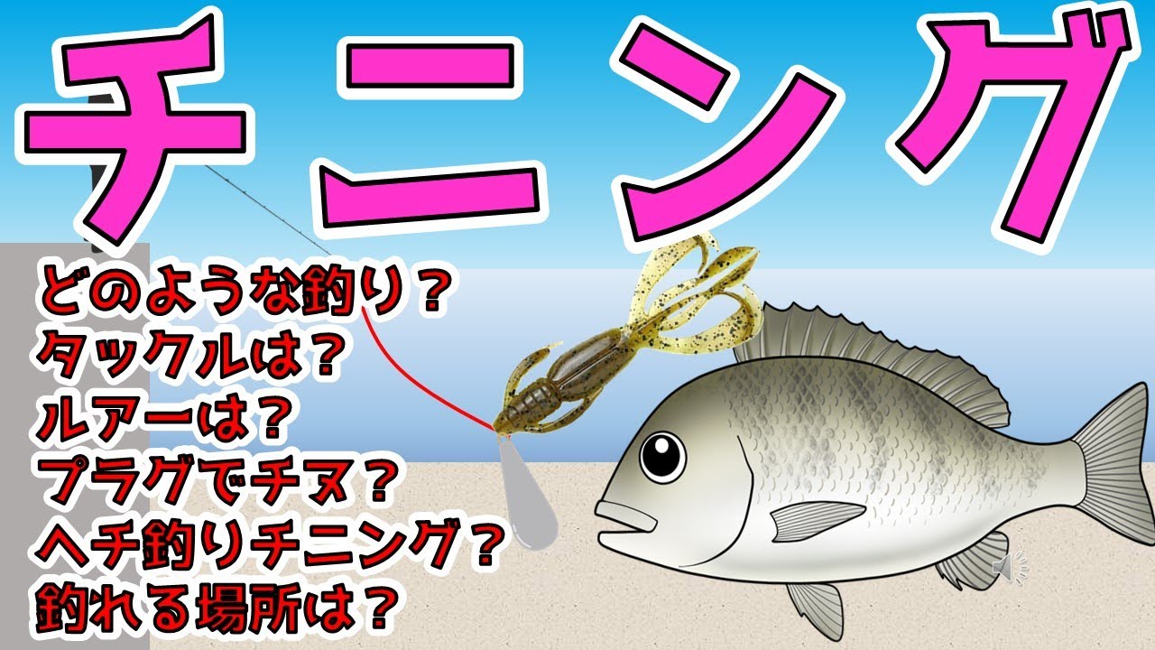 【チニングの極意】今釣れてます！話題のルアー釣りを徹底解説！