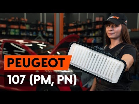 How to replace air filter on PEUGEOT 107 1 (PM, PN) [TUTORIAL AUTODOC]