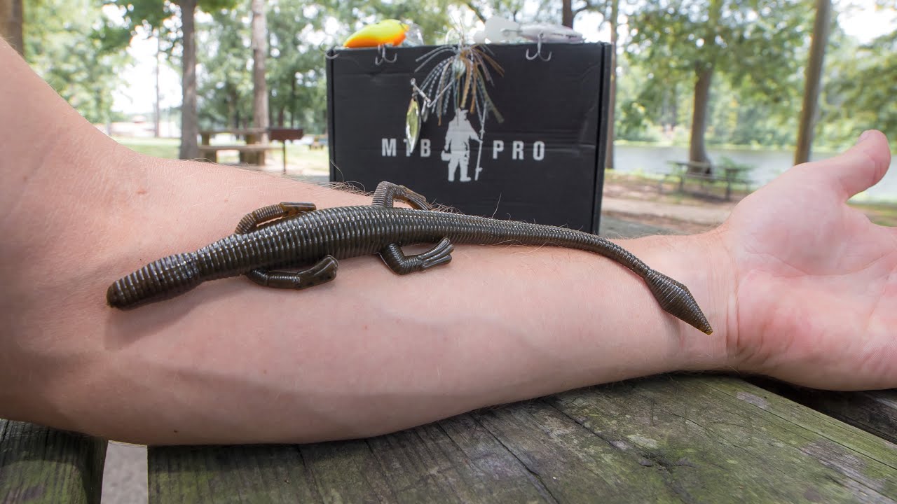 Giant Lizards for Big Bass! - MTB Pro Unboxing August