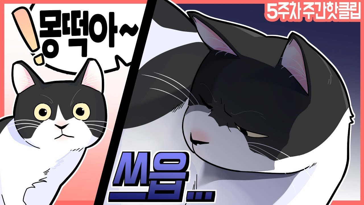 집사야 거 이상한 거 보여주지 마라..