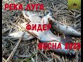 река Луга, Усть луга, рыбалка, фидер, весна 2020