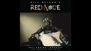 Bill Nelsons Red Noise Sound on Sound Box Set Review