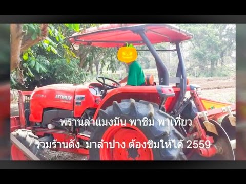 ร้านอาหารดัง ลำปาง ข้าวมันไก่ ข้าวซอย ต้มเลือดหมู ก๋วยเตี๋ยว [HD] พรานล่าแมงมัน พาชิม อาหารดัง ลำปาง