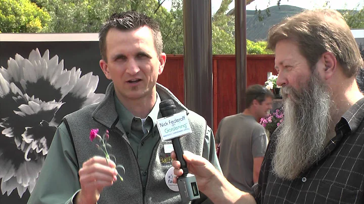 Ball Horticultural Spring Trials with Nick Federoff