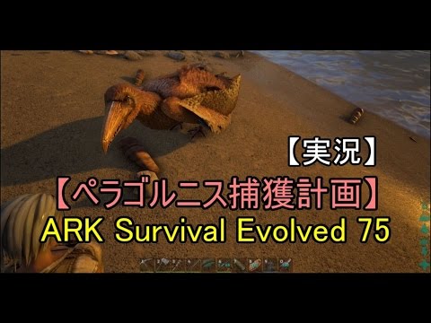 実況 Ark Survival Evolved 75 ペラゴルニス捕獲計画 Youtube