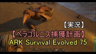 【実況】ARK Survival Evolved 75 【ペラゴルニス捕獲計画】