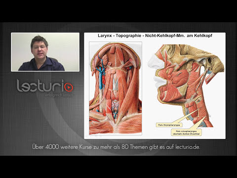 Video: Hals Anatomie, Fläche & Diagramm - Körperkarten