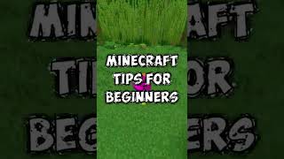 Beginner Minecraft Tips!!!1