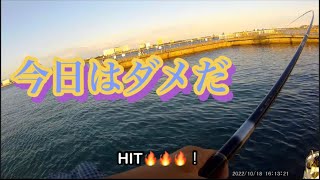 浜名湖 海釣り公園 T字提 浜名湖 海釣り公園 釣り フカセ釣り 魚釣り系you Tuberまとめサイト Fishing 浜名湖 海釣り公園 T字提 浜名湖 海釣り公園 釣り フカセ釣り 魚釣り系you Tuberまとめサイト Fishing
