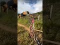 Human and dog team up to challenge the mud—let's see who stays steadier! 🚜🐾 #cutepets #sorts