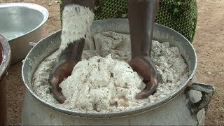 Making better shea butter (Summary)