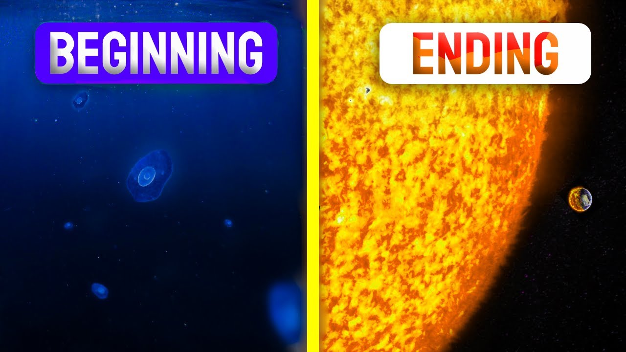 How did life began on Earth and how it's will end? - YouTube