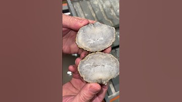 Day 29 of 31 Days of Possible GEODES #geode #shorts #rocks