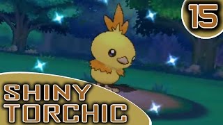 Shiny Torchic Highlight!! [15]