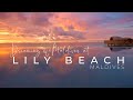 Lily Beach Resort Maldives Video. The Most beautiful Places #LilyBeachMaldives #MaldivesAllInclusive