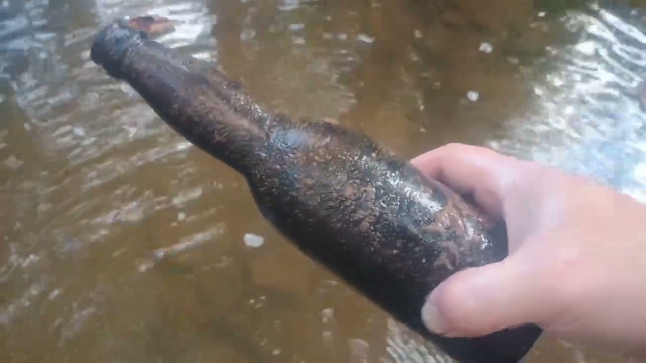 Последняя в 2025 году поездка на прогулку по ручью Западной Вирджинии принесла мне самый лучший к...